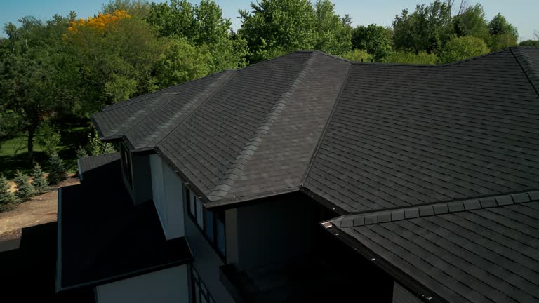 Best Sheet Metal Roofing  in Cold Spring, KY