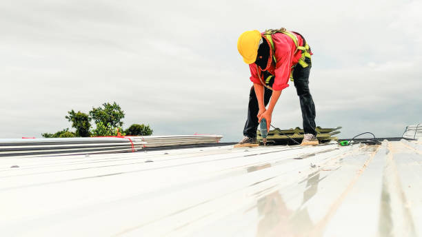 Best Skylight Installation and Repair  in Cold Spring, KY